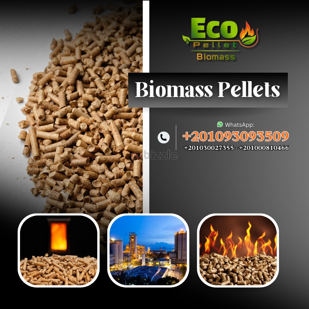 الوود بيليت